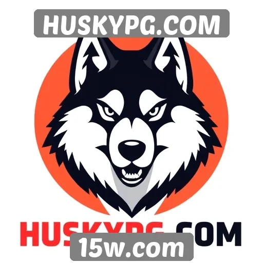 O impacto da comunidade no crescimento do HUSKYPG.COM